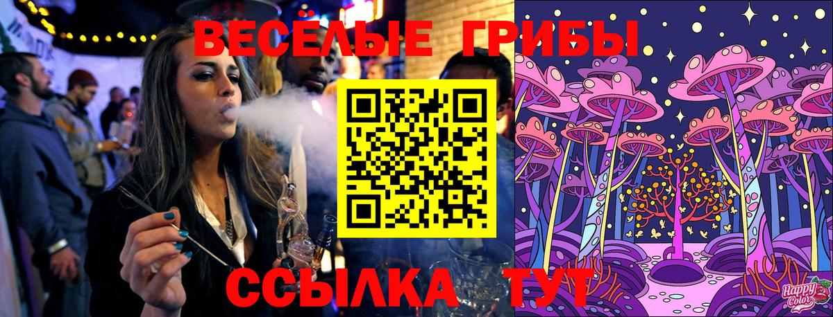 Галлюциногенные грибы Cubensis Фролово